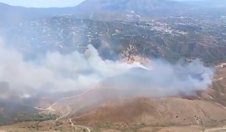 Drei Menschen bei Waldbrand an der Costa del Sol verletzt