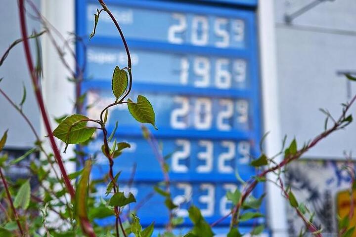 Grüne lehnen neuen Tankrabatt ab - Stromsteuer soll sinken