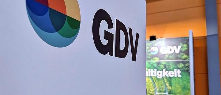 Versicherer pochen auf mehr Weitsicht bei Klimaanpassung