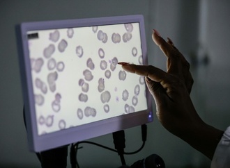 Globaler Fonds warnt vor Folgen von weniger Hilfsgeldern für Kampf gegen Malaria