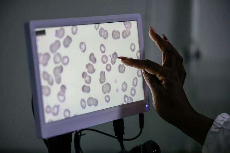 Globaler Fonds warnt vor Folgen von weniger Hilfsgeldern für Kampf gegen Malaria