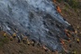 Kolumbien: Waldbrand in Touristenstadt Villa de Leyva größtenteils unter Kontrolle