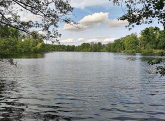 DLRG verzeichnet mehr tödliche Wasserunfälle in Badesaison