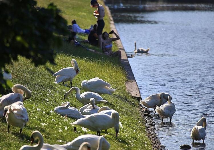 DWD: September ungewöhnlich warm und im Südwesten extrem trocken