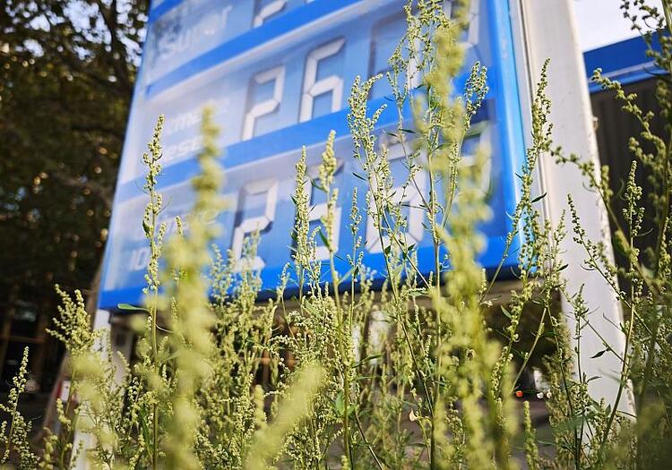 Hohe Energiepreise treiben Inflation deutlich über drei Prozent