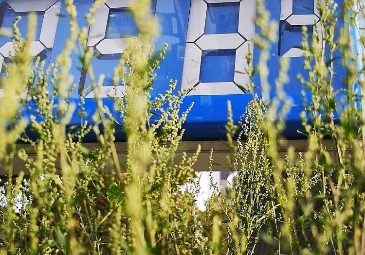 Produktion von Benzin und Diesel im 1. Halbjahr 2026 gestiegen