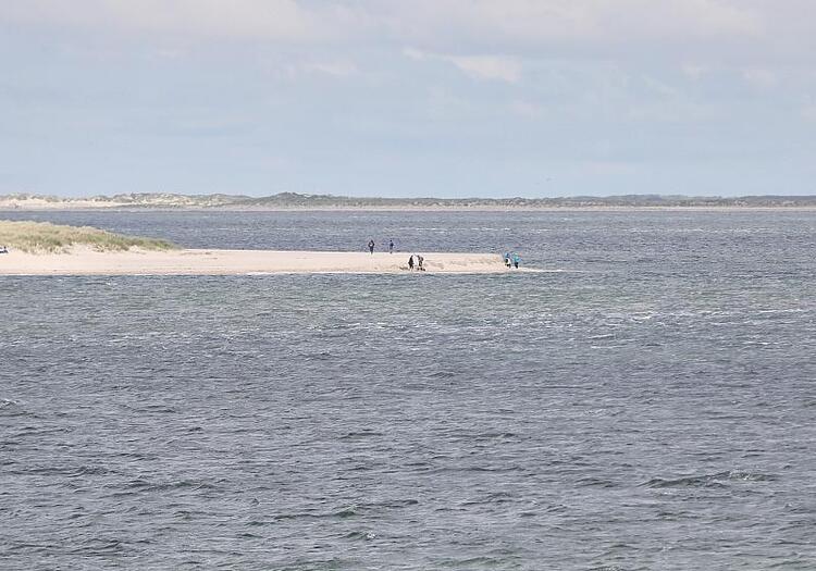 CCS-Experte kritisiert Reiches Pläne für CO2-Endlager unter Nordsee