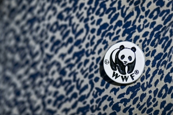 WWF: Wildtierpopulation weltweit seit 1970 um fast drei Viertel geschrumpft
