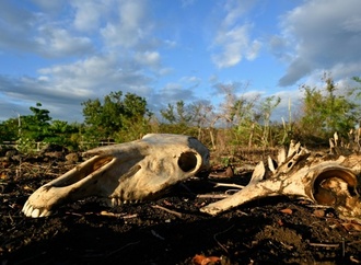UNO: Klimaphänomen El Niño verschärft sich weiter - Höhepunkt im Dezember erwartet