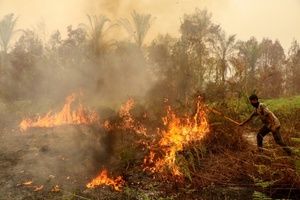 Waldbrände in Indonesien: Mindestens 300 Häuser auf Sumatra zerstört