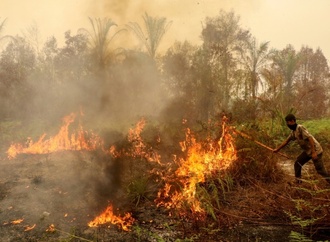 Waldbrände in Indonesien: Mindestens 300 Häuser auf Sumatra zerstört