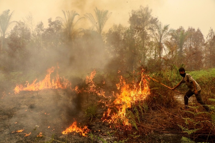 Waldbrände in Indonesien: Mindestens 300 Häuser auf Sumatra zerstört