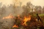 Mehr als 280.000 Fälle von Atemwegserkrankungen in Waldbrandgebieten in Indonesien