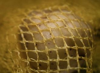Voraussichtlich niedrigere Erntemenge: Kartoffeln im September deutlich teurer