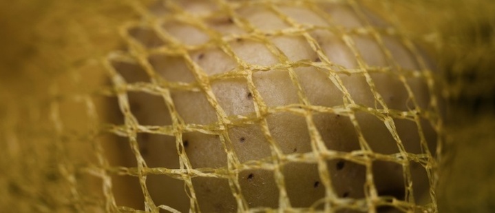 Voraussichtlich niedrigere Erntemenge: Kartoffeln im September deutlich teurer
