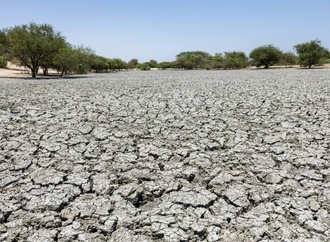 Brot für die Welt: Insbesondere arme Konfliktstaaten bekommen zu wenig Klimaanpassungshilfen