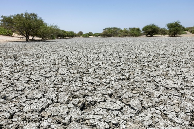 Brot für die Welt: Insbesondere arme Konfliktstaaten bekommen zu wenig Klimaanpassungshilfen