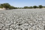 Brot für die Welt: Insbesondere arme Konfliktstaaten bekommen zu wenig Klimaanpassungshilfen
