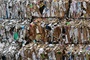 Toter bei Recylingfirma in Hamburg: Mann starb womöglich in einer Papierpresse