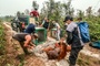 Tierschützer retten dutzende Orang-Utans vor Waldbränden in Indonesien