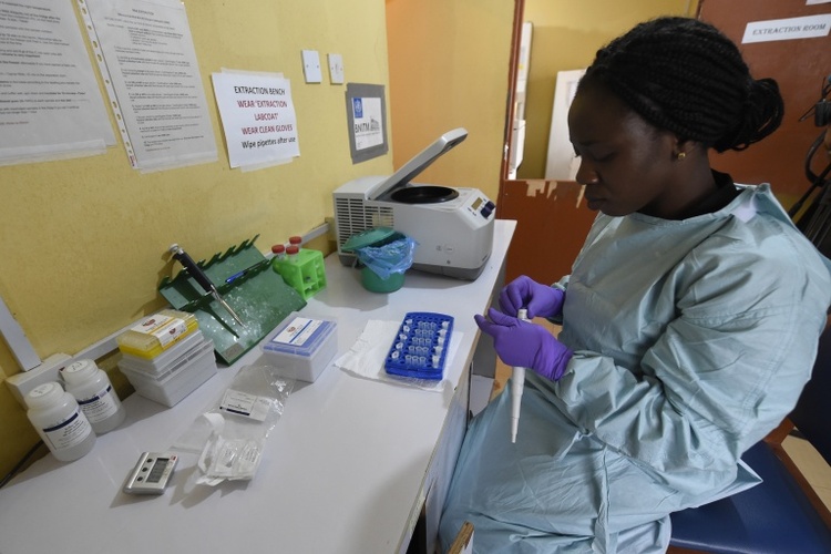 Ebola-Virus erreicht Nigeria: Land meldet erste Infektion mit Bundibugyo-Stamm