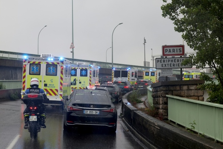 Shamonda-Virus erstmals bei Menschen entdeckt - Patient stirbt in Frankreich