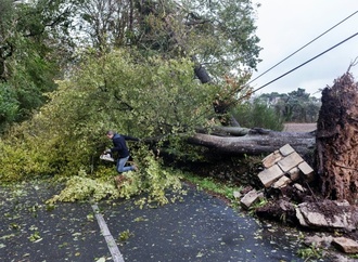 Sturm ''Austen'': 161.000 Haushalte im Westen Frankreichs ohne Strom
