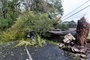 Sturm ''Austen'': 161.000 Haushalte im Westen Frankreichs ohne Strom