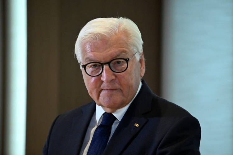 Steinmeier wirbt für Zusammenarbeit mit China bei Entwicklung von E-Autos