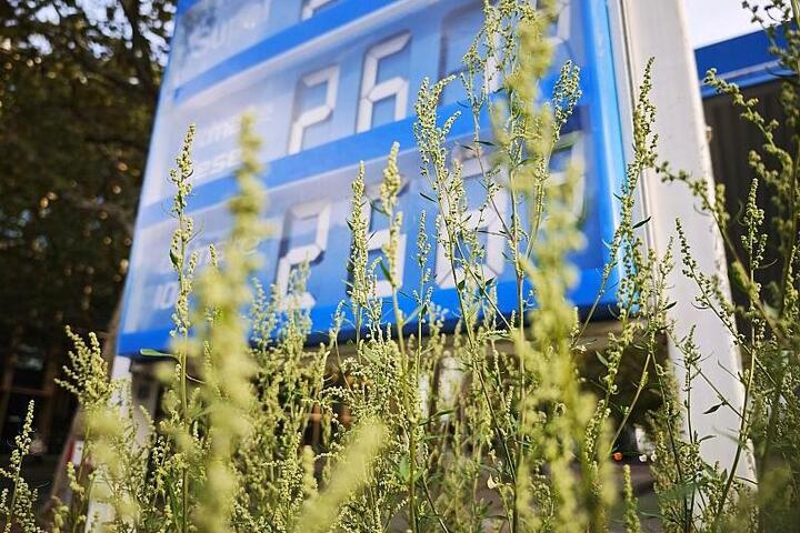 Linke fordert Übergewinnsteuer und Gewinnmargendeckel